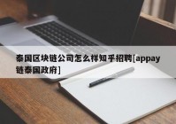 泰国区块链公司怎么样知乎招聘[appay链泰国政府]