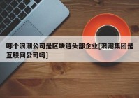 哪个浪潮公司是区块链头部企业[浪潮集团是互联网公司吗]